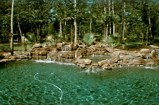 Family Swimming